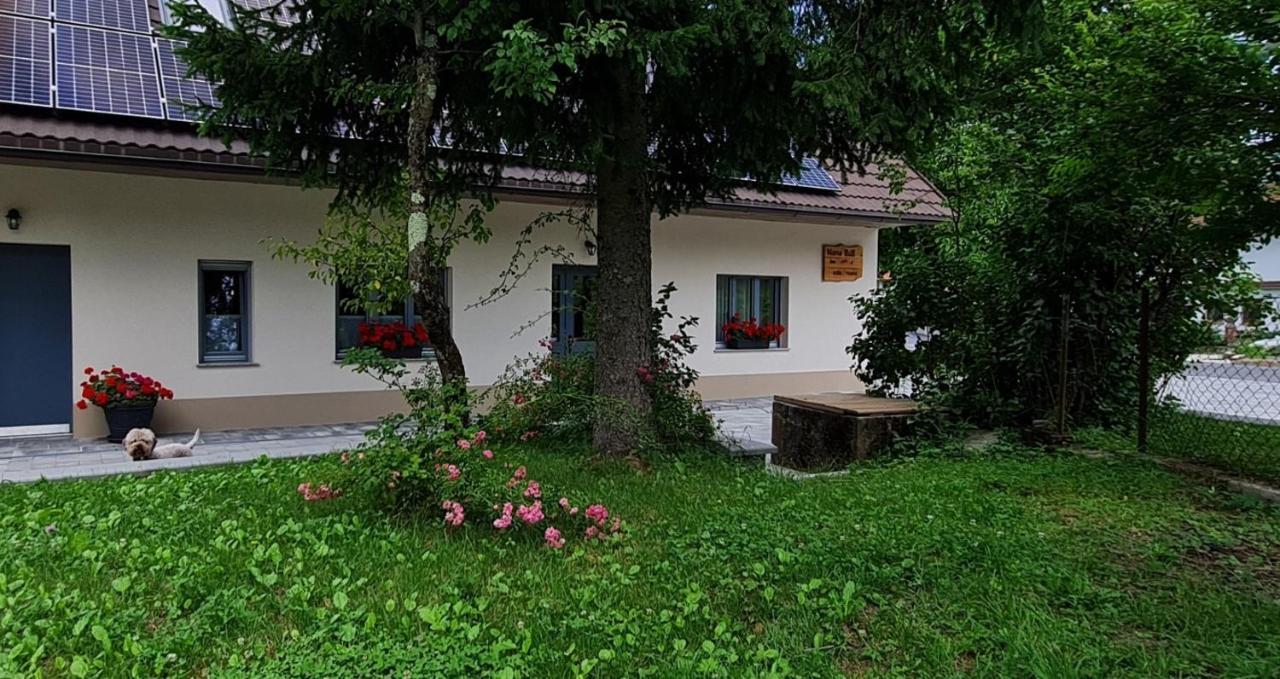 Bed and Breakfast Nona Bb Postojna Exteriér fotografie