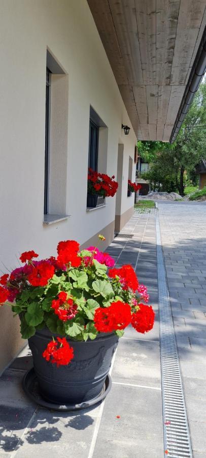 Bed and Breakfast Nona Bb Postojna Exteriér fotografie